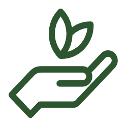Sustainability